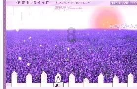 拯救精灵的土地6